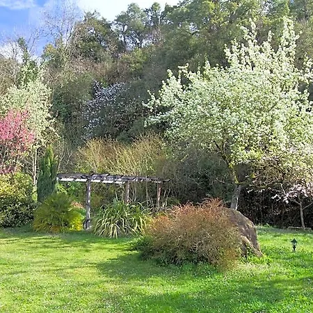 La Yosa De Argueebanes